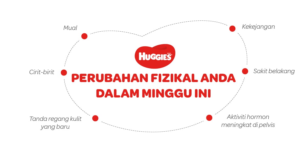 Perubahan Fizikal Ibu Mengandung 37 Minggu | Huggies Malaysia